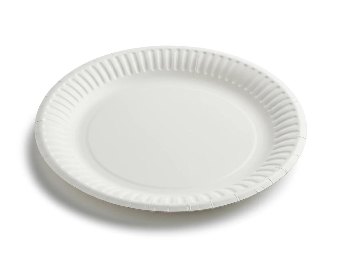 7 Inch Paper Plates (8 plates) - blank